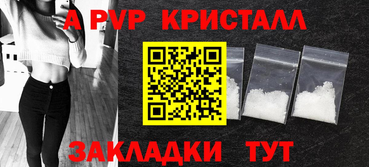 Альфа ПВП СК Великий Новгород