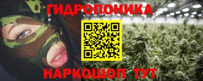 jwh Бийск