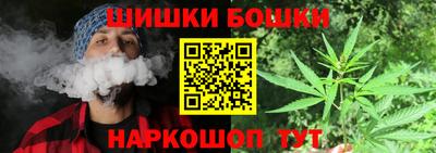 jwh Бийск