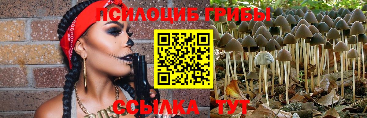 Галлюциногенные грибы MAGIC MUSHROOMS Великий Новгород