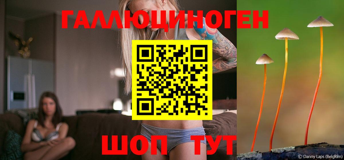 Галлюциногенные грибы прущие грибы  Вход с VPN  Великий Новгород 
